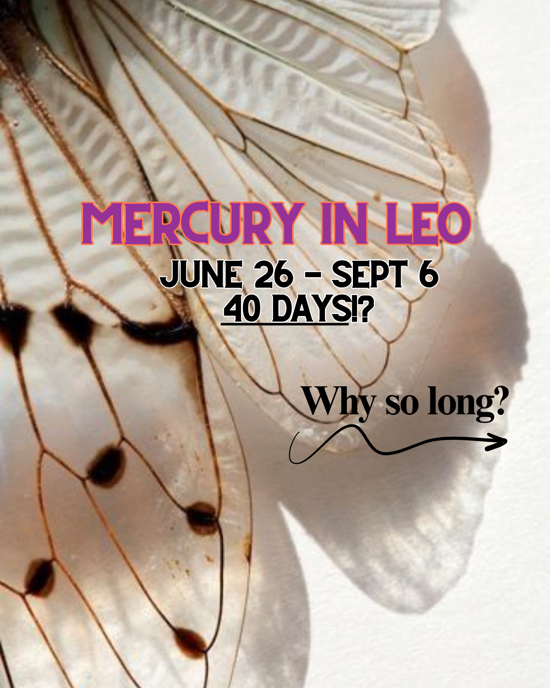 Mercury in Leo for 37 DAYS! ✨ Get your creative ideas going!